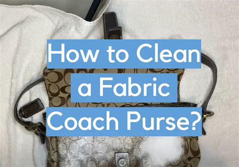 How to Clean a Coach Purse at Home 